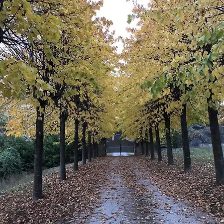 Pensjonat Moglietta Host In Langhe Albaretto della Torre