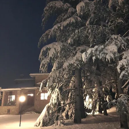Pensjonat Moglietta Host In Langhe Albaretto della Torre