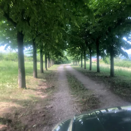 Konukevi Moglietta Host In Langhe *