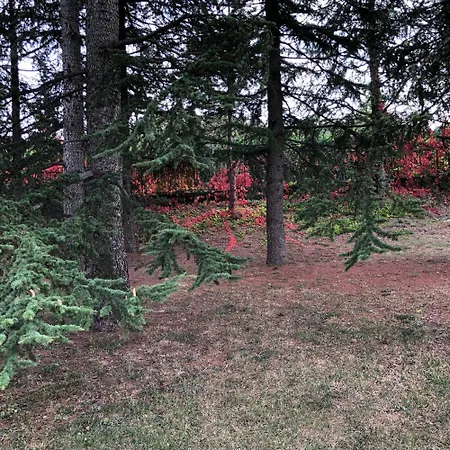 Konukevi Moglietta Host In Langhe