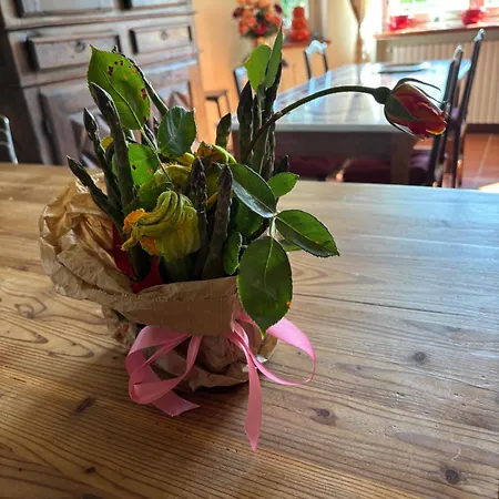 Konukevi Moglietta Host In Langhe Albaretto della Torre